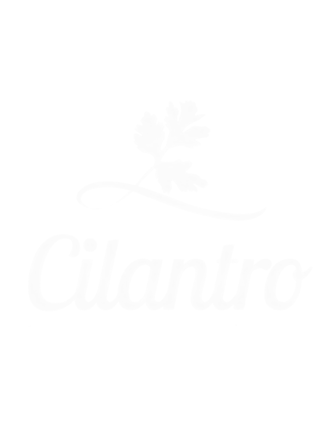 Cilantro